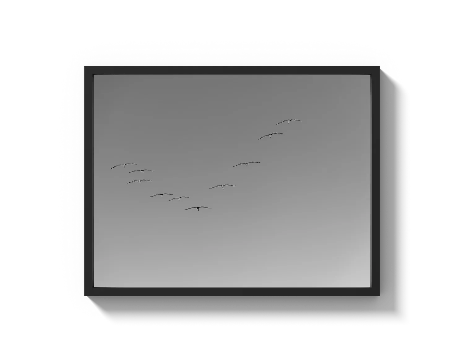 Flying Birds