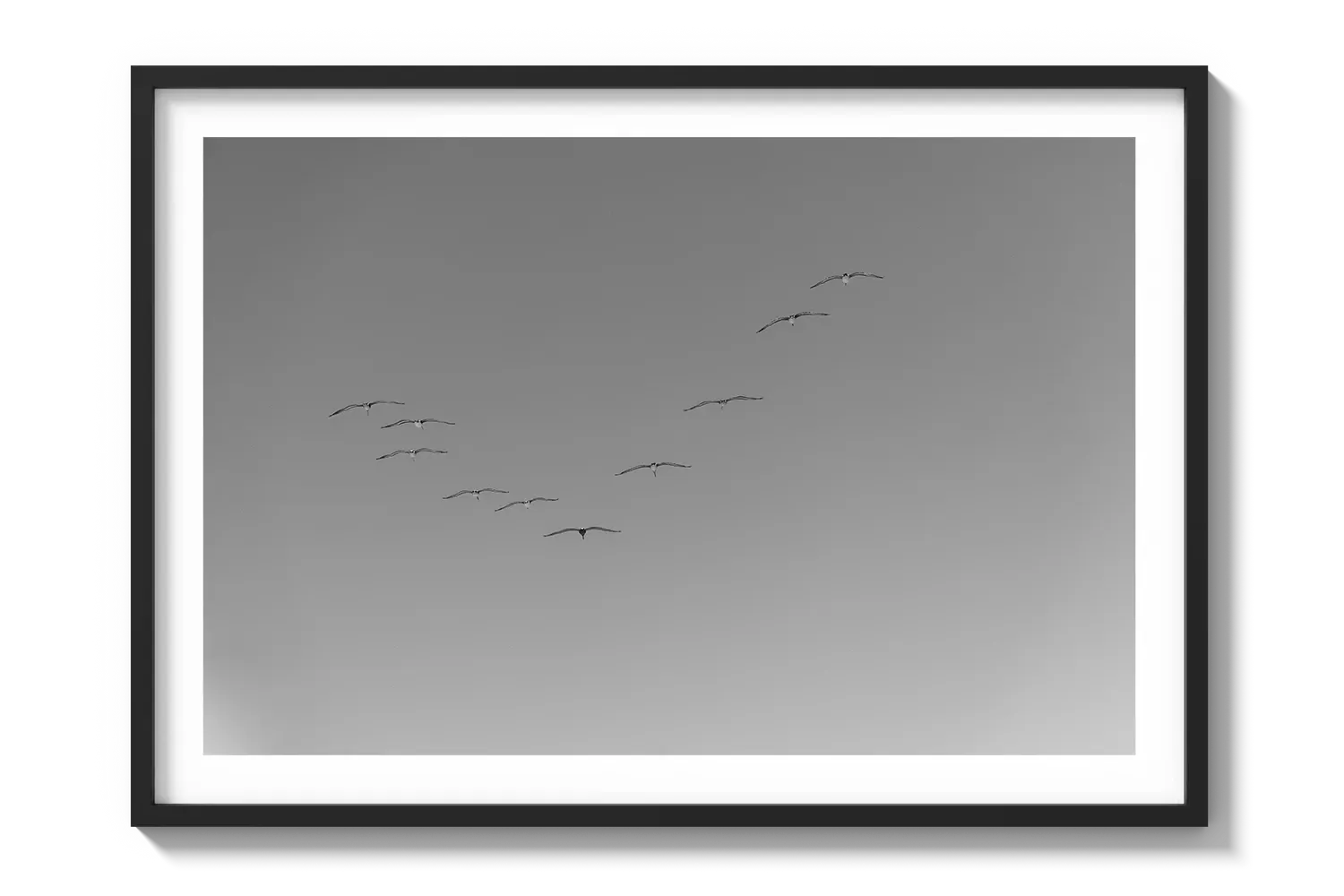 Flying Birds
