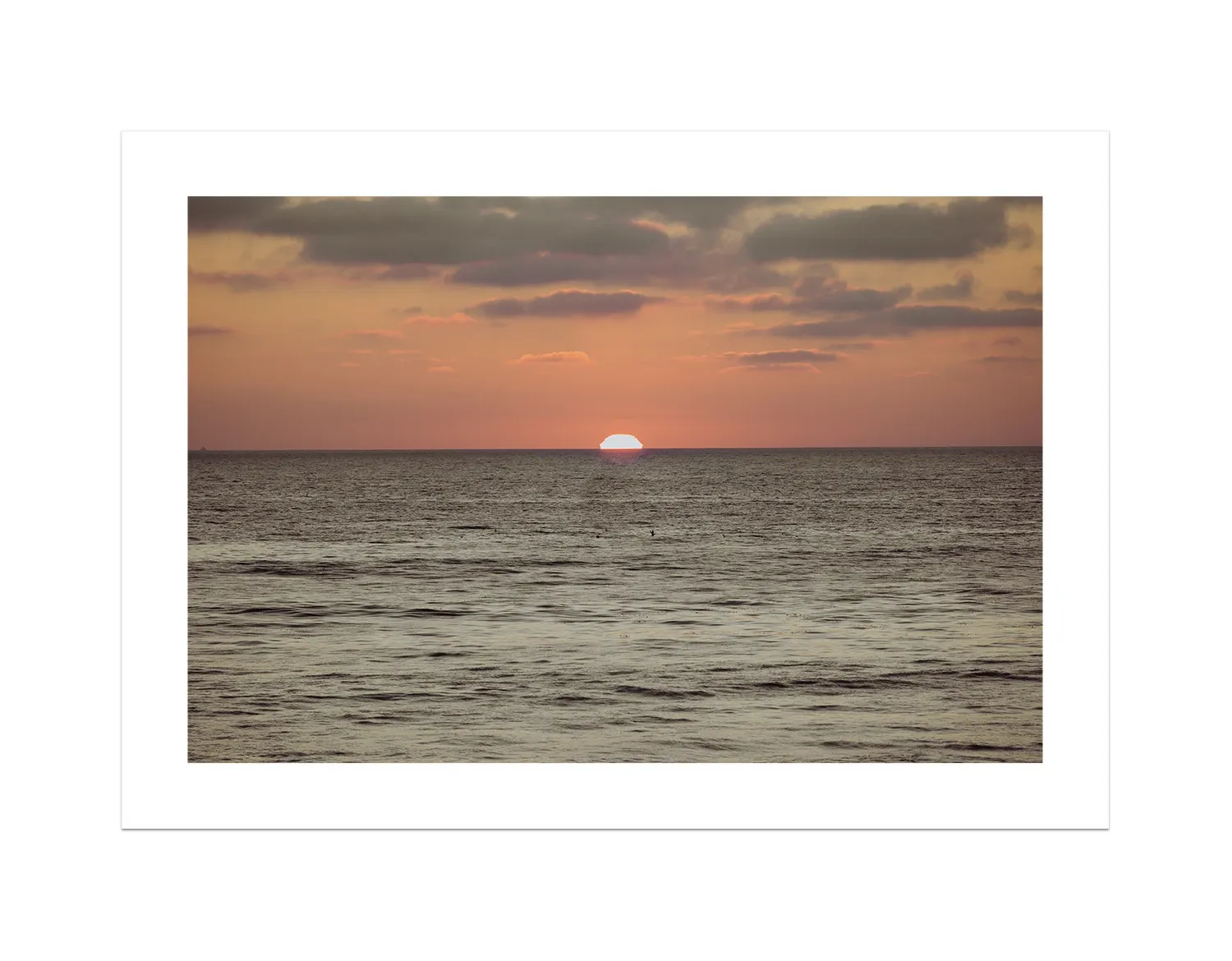 Ocean Beach Sunset